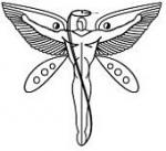 Sensual Touch. Tantrische massage