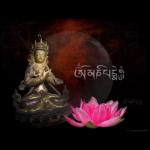 Tantra Massage Voor Vrouwen